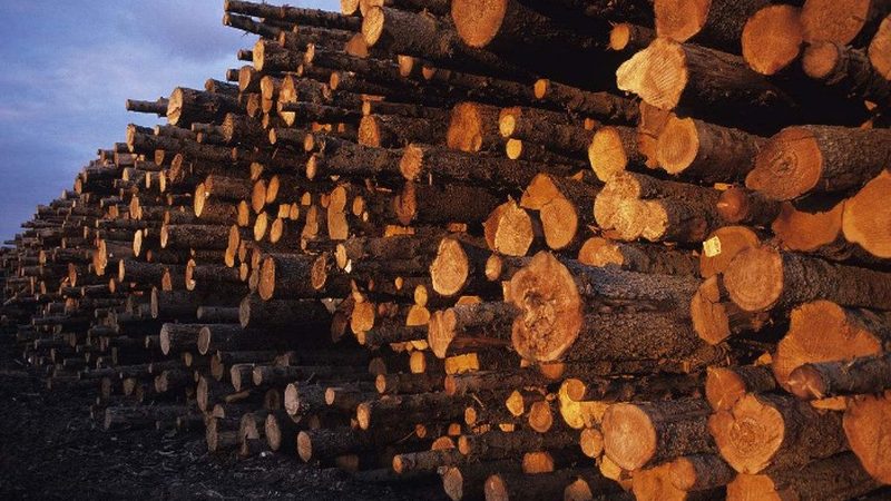 商业地板优缺点对比：实木、复合、强化地板的差异化分析